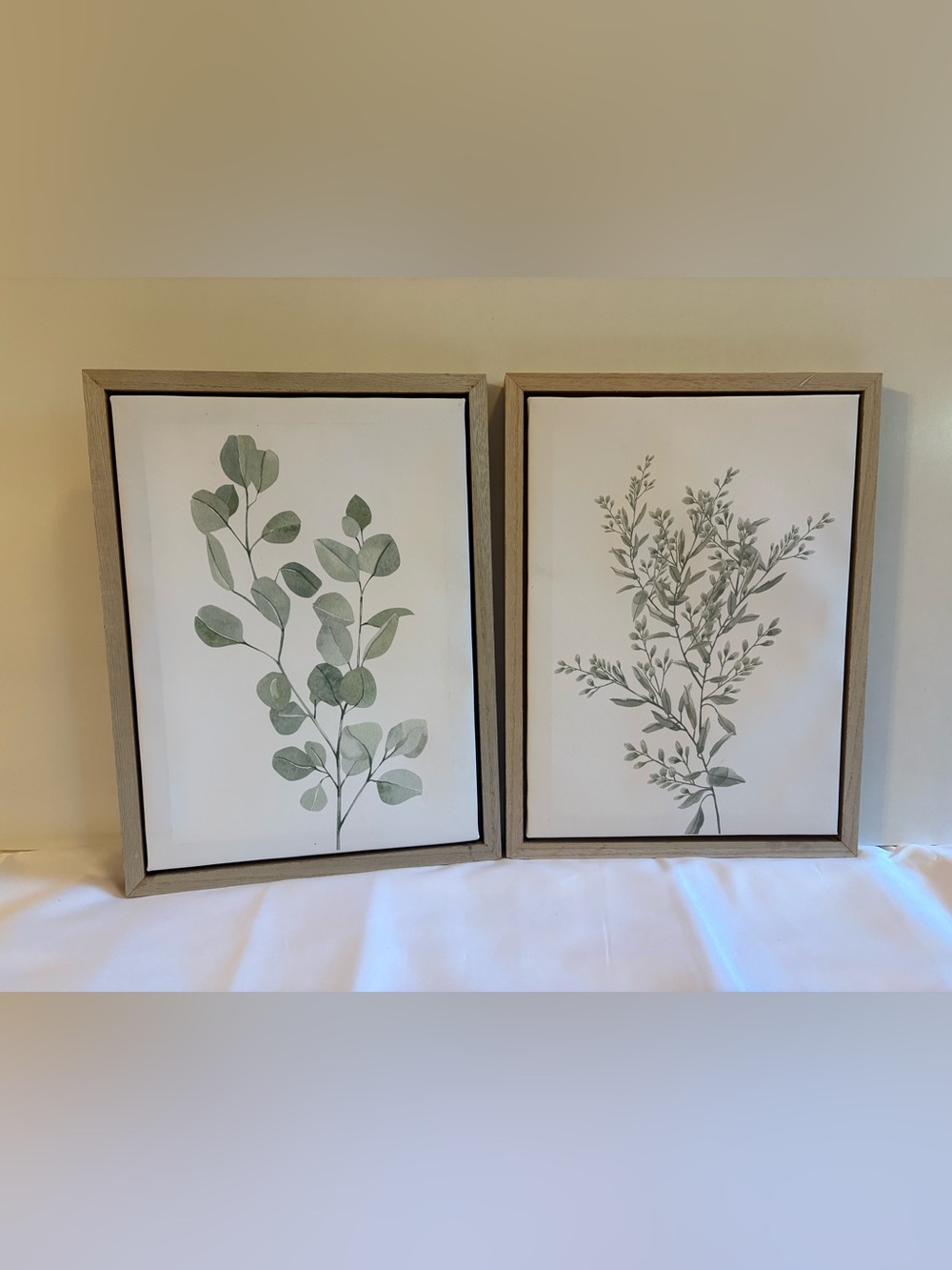 Set of 2 Neutral Botanical Framed Canvas Wall Art - Excellent Condition